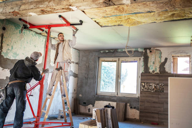 Best Cellulose Insulation  in Mineville, NY